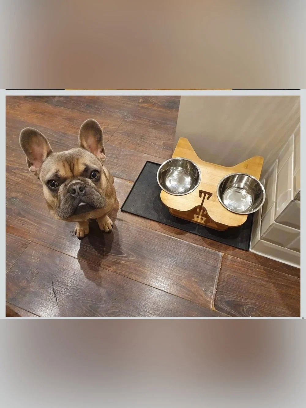 🐶🥣 NibbleyPets Elevated Dog Bowl Stand with Stainless Steel Bowls – 3-Piece Set